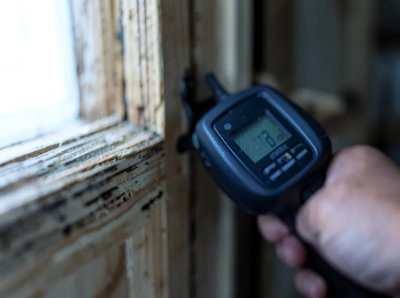 Moisture Inspection And Documentation in Annandale On Hudson, NY